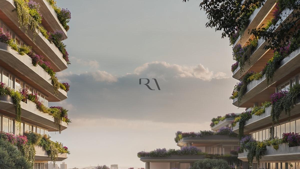 Vista